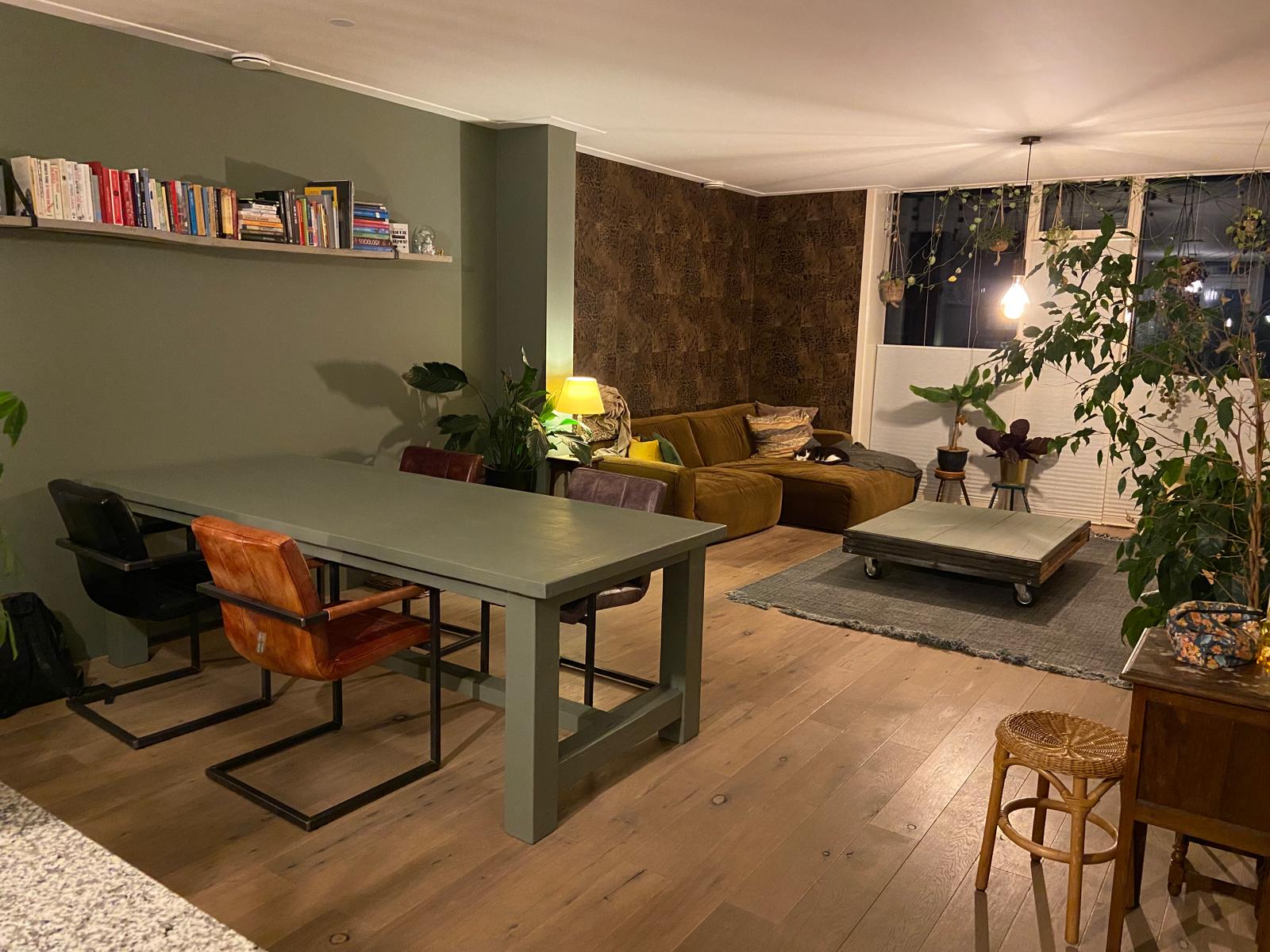 Woonkamer met groene accentwand - voorbeeld